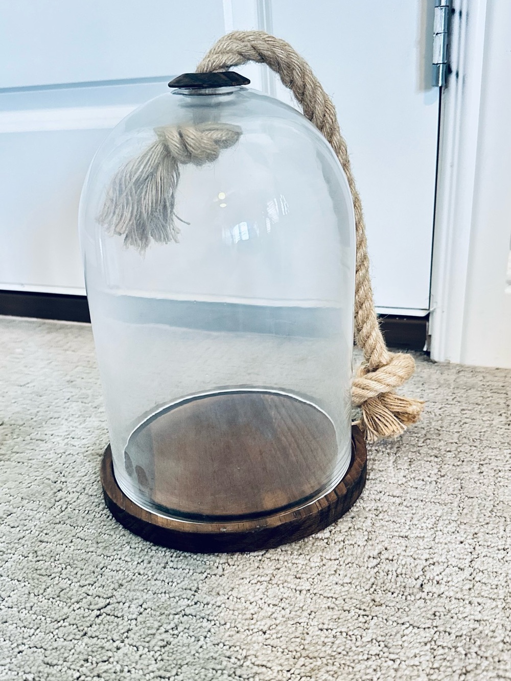 Glass Cloche Display Dome with Wood Base & Rope Handle | Farmhouse Decor